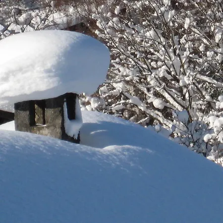 Kathrein * רויטה