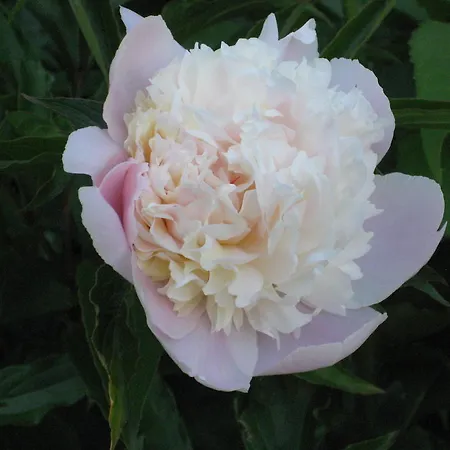 Kathrein * Reutte