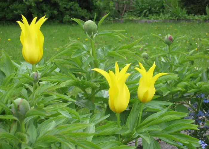 Апартаменты Kathrein Ройте