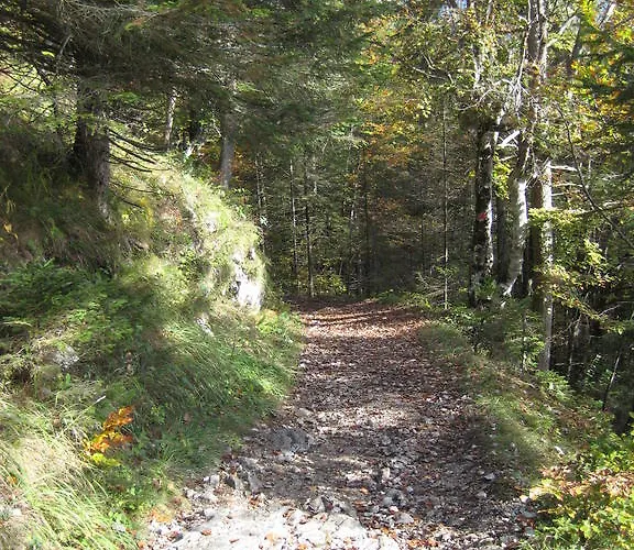 Апартаменты Kathrein Ройте